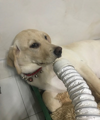 ��������ô����