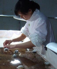 对话文物修复师,这份职业吃香吗?