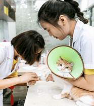 ��ů�������ø����������