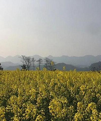 不负春光!重庆最新户外烧烤地图,收好不谢!