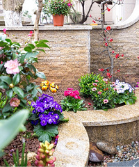 ��ʽ����԰���ң�������ʨ��ͷ��س�������