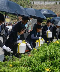 重庆超7万群众选节地生态安葬