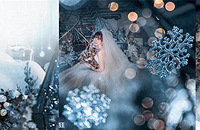 �����ڴ����ѩ���磬�з���ѩ��ѩ���Ļ�����λ�