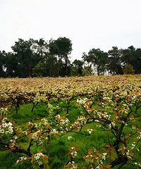 ��ů�������ƹ�ɽ���滨ȥ+��̤��ȥ��