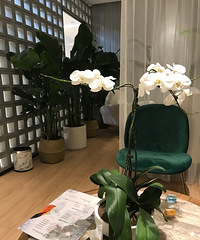 第一次体验泰式按摩,上班后的放松