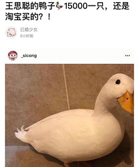 ��˼��15000��Ѽ�ӱ����ˣ�