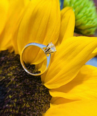 ϲ������6צ����ƴ����Ϳ�����Ԥ������1������ϲ�������