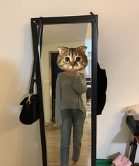 ���ˣ����������ţ�п㣬���¹�����Щ�������ľ�ë��Ҳ�ܴ�