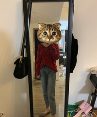 ���ˣ����������ţ�п㣬���¹�����Щ�������ľ�ë��Ҳ�ܴ�
