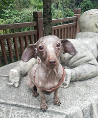 ˵����̩�ϣ���������