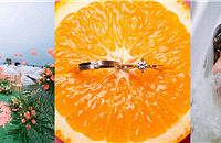 ��ǰһ�궨�ľƵ��ܿ�������������Ҳ����