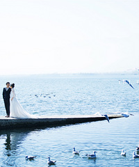 6000��Ĵ������Ļ�����һ���Ƶ꣬û��Ǯ���õ�ȫ����Ƭ