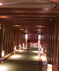 带娃夜泡海昌汤都