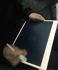 Էд̬壬С氲ȫֲŪ