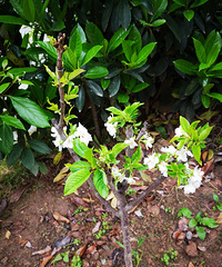 30װ120ƽ԰󷿣ҵˮռ