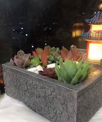 ������ⶼҪ�߹ŷ�·��