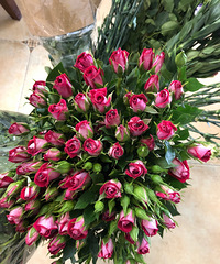 �������ϻ����ʻ�������õ��30Ԫ20֧��������5Ԫ1��!