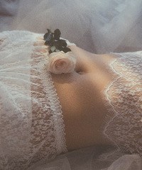 ������������Ƭ��ǰ��ף����ĵ�������л���ڸ���������������