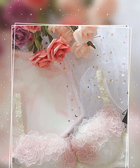 �÷��۵�braѽ���������ҵ���Ů��