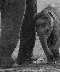 ��ʿ��С����ͯ������Ĳп�����