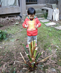 ʯƺСѧôѧΣʦ𲻣