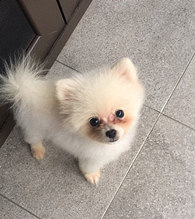 ������ֻ��С�л��ӡ�