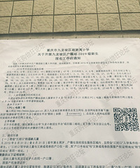 л����Сѧ2019����������