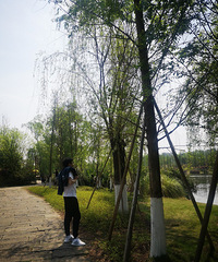 ���׳ɹ���������л��������Ұ����˵�����