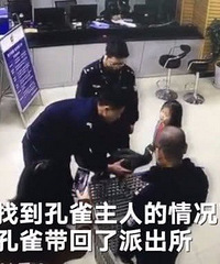 重庆一“不速之客”闯入居民家中,民警发现竟是国家一级保护动物
