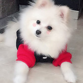 谁还不会卖个萌咋地