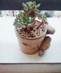 ϣ�������ܰ�Ȼ����