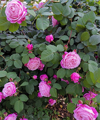 δ룬Ȼů쵽ˣɹɹµЩ