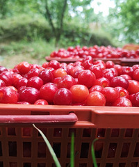 2020ժӣҵͼܱ߿ժӣҵĺõط