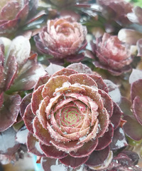 �������״̬����������