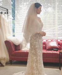 ����е�͸�ӵ���β��ɴ��������ǣ�������������������