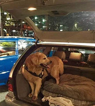 ��͵͵�����˵ĳ����ˡ���