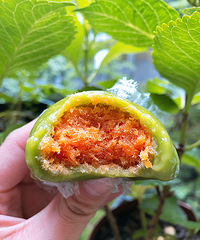 óԵš⡢յ⿪ţƷʵ