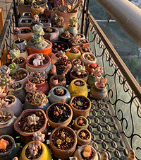 ��������������С���磬˵˵���ⰲȫ���ĵ�С����