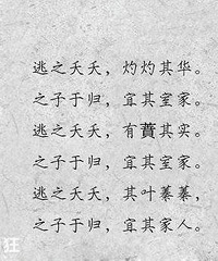 ��ʱ���֤���ϵ����֣�����û���Ķ�