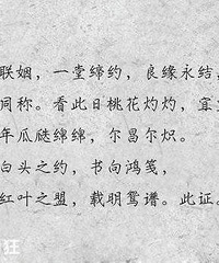 ��ʱ���֤���ϵ����֣�����û���Ķ�