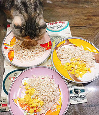 �������ӵ���ʳ���ܻ�ӭ