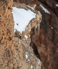 ���������㷢��ͼ�е�ѩ������