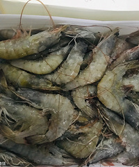 ĶϺʺͿڸжãͷȱʻ