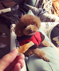 ���õ������ˣ����м�¼