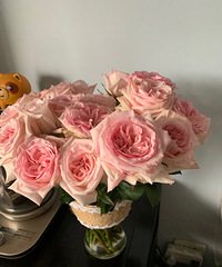 ���϶��ϻ��е��ʻ����۸������