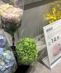 这家店铺的鲜花价格堪比鲜花市场,绣球才15元一朵,?#27809;?#31639;