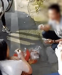 这么馋?1男4女高速半路违停啃鸡爪 结果悲剧了
