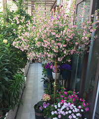 յūһ֮ңҺĵڶ죬ҵ̨ȫ