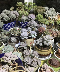 �ҵĶ�������������ģ�