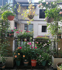 ����ʮ��ƽ¶̨��Ϊ�ҵ�԰��������ϳ��